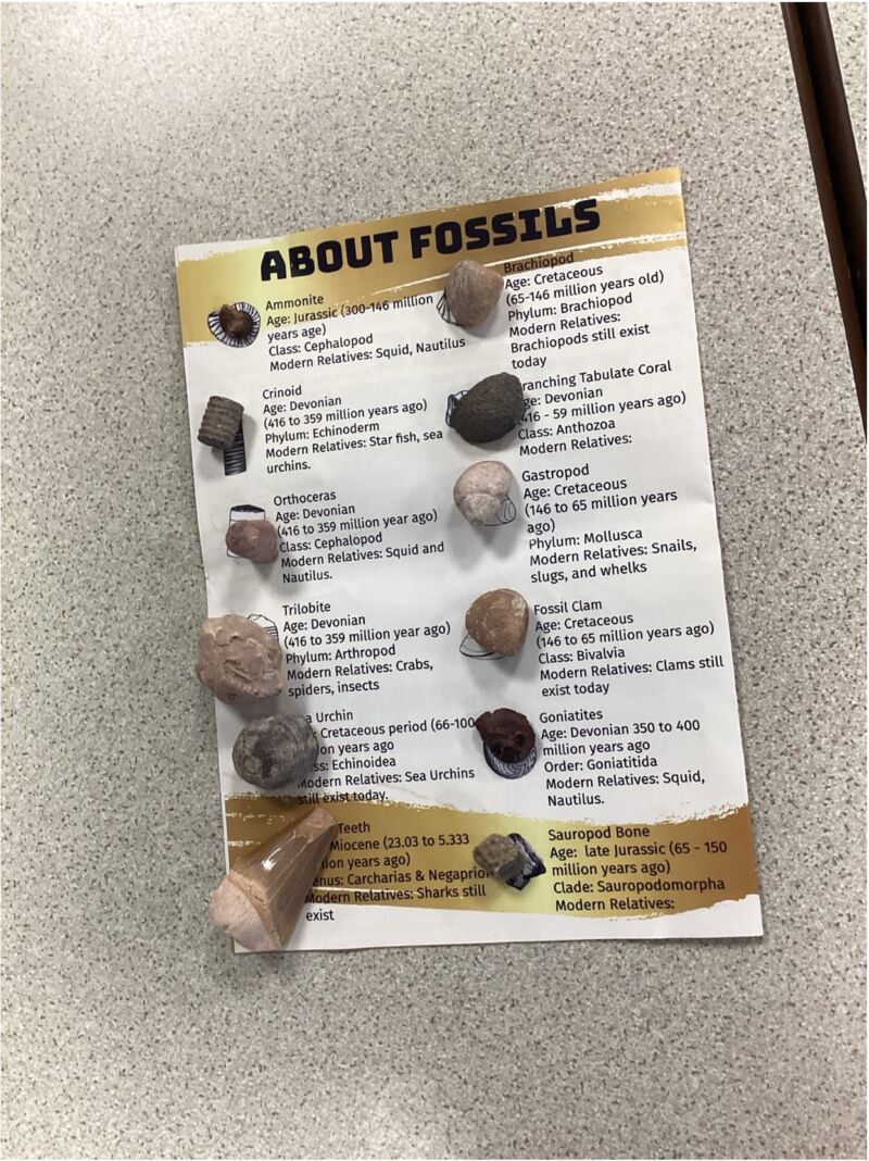 Image for the Tweet beginning: Year 3 had a fascinating