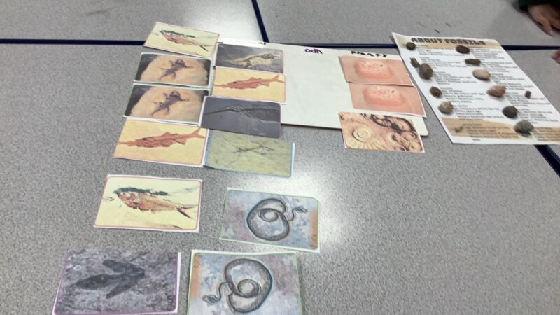 Image for the Tweet beginning: Year 3 had a fascinating