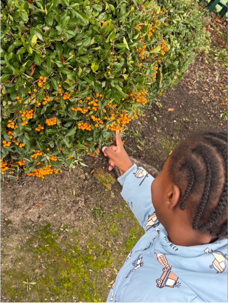 Image for the Tweet beginning: Our nursery children have been
